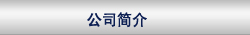 公司简介